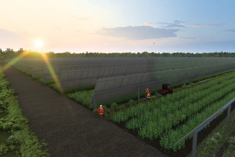 Solargation® afternoon energy rendering