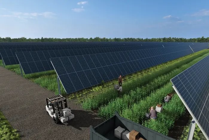 Harvest rendering