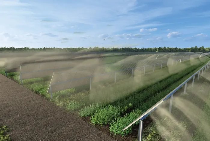 Irrigation rendering