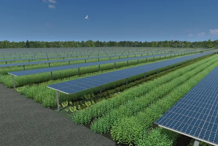 Noon horizontal solar rendering