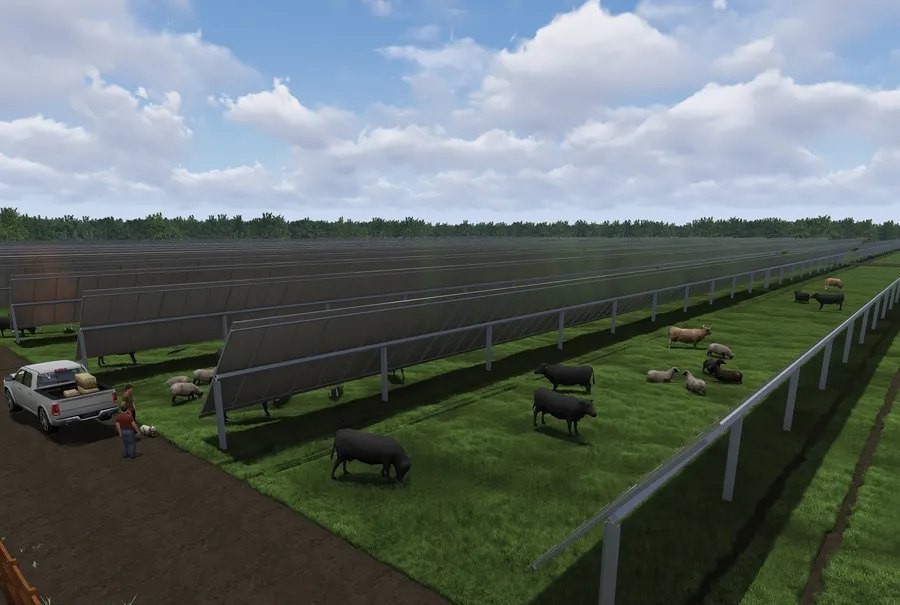 Solargation® pasture rendering